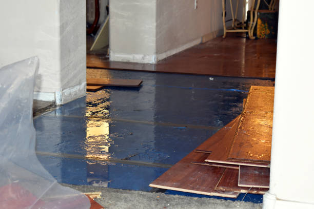 Professional Burst Pipe Cleanup technician working in Idlewild, MI