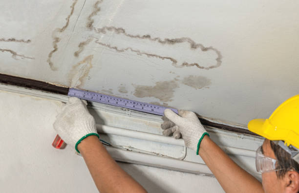 Reliable Burst Pipe Cleanup contractor in Idlewild, MI by Water Damage Irwin